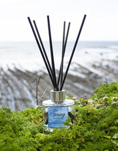 Load image into Gallery viewer, Spring Reed Diffuser - Loved By Lotus
